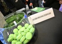 “VMU Connections: Career Day” Opens Doors to the Job Market for Students and High Schoolers